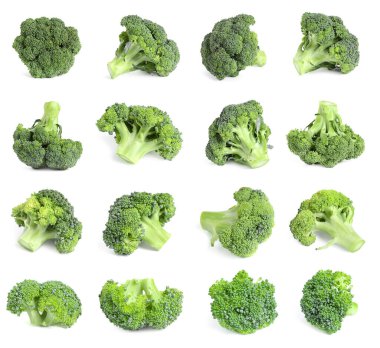 Beyaz arka planda taze yeşil brokoli seti