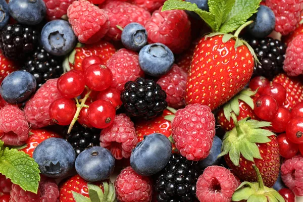 Mix Different Fresh Berries Mint Background View — Stock Photo, Image