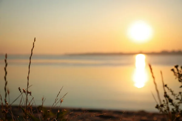 Vista Pittoresca Bella Alba Sul Lungofiume Cielo Mattutino — Foto Stock