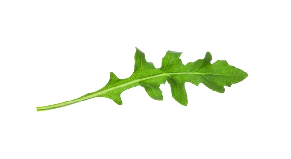 Blad Färsk Ruccola Isolerad Vit — Stockfoto