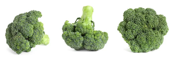 Set Fresh Green Broccoli White Background Banner Design — Stock Photo, Image