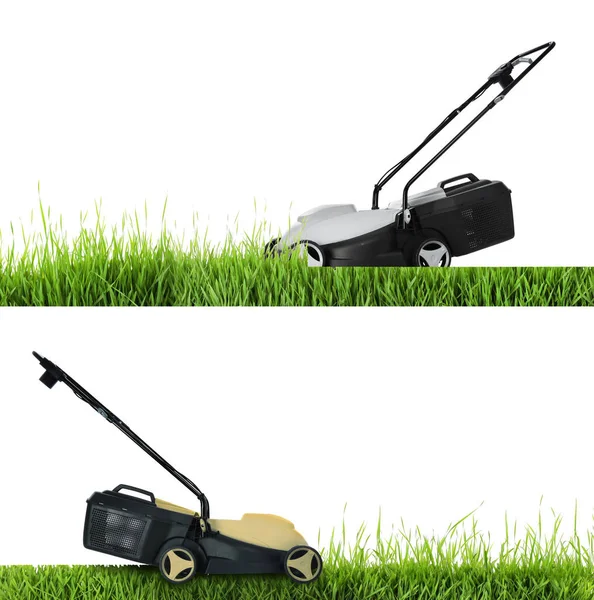 Modern Garden Lawn Mowers Cutting Green Grass White Background — Stock Photo, Image