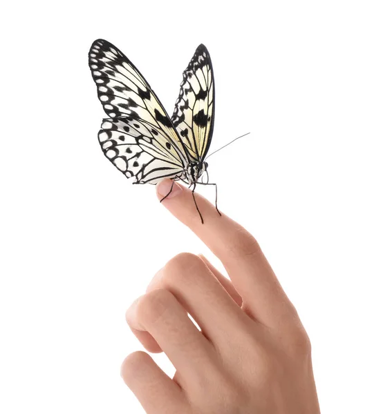 Mujer Sosteniendo Hermosa Mariposa Papel Arroz Sobre Fondo Blanco Primer — Foto de Stock