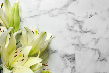 Beyaz mermer arka planda güzel zambak çiçekleri, üst manzara. Metin için boşluk