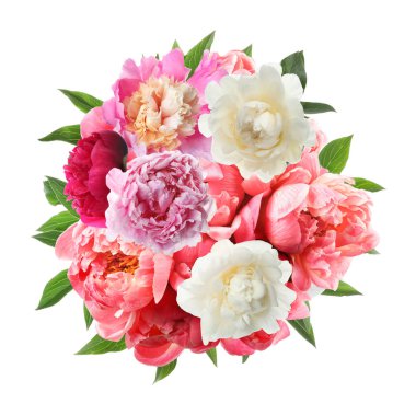 Beyaz arka planda güzel şakayık çiçeği buketi