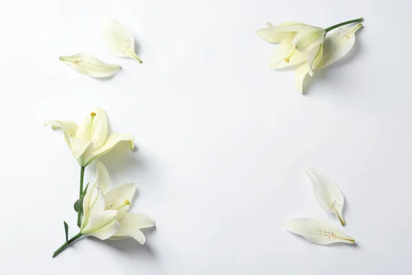 Frame Van Mooie Lelie Bloemen Witte Achtergrond Plat Gelegd Ruimte — Stockfoto