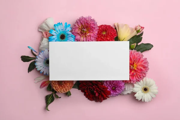 Επίπεδη Σύνθεση Lay Λευκή Κάρτα Dahlia Και Άνθη Ζέρμπερας Ροζ — Φωτογραφία Αρχείου
