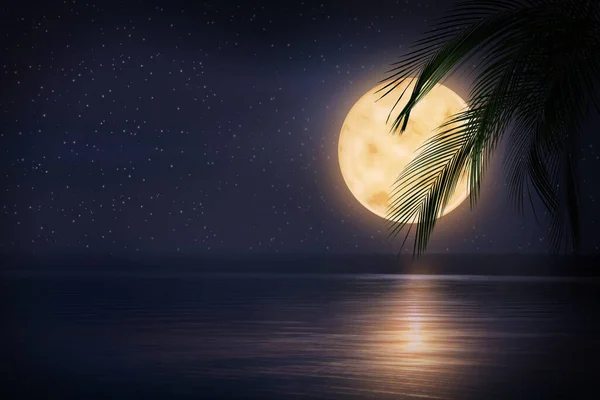 Фантастична Ніч Пальмове Листя Повний Місяць Зоряному Небі Над Морем — стокове фото