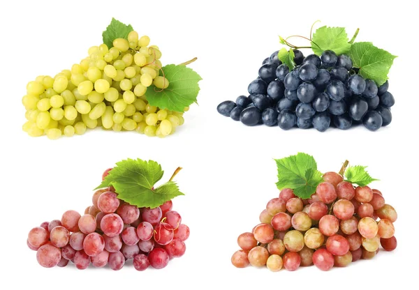 Conjunto Uvas Frescas Sobre Fundo Branco — Fotografia de Stock