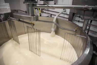 Peynir fabrikasındaki kaymak hazırlama tankına süt döküyorum.