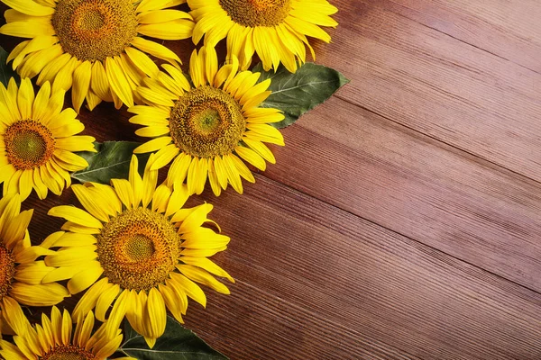 Beautiful Bright Sunflowers Wooden Background Flat Lay Space Text — Stock Photo, Image