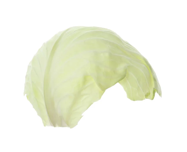 新鲜成熟的卷心菜叶子 白色隔离 — 图库照片