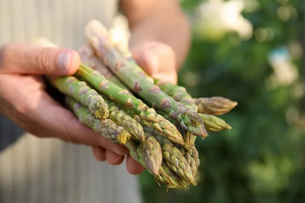 Man Holding Fresh Raw Asparagus Outdoors Closeup — Stock Photo, Image