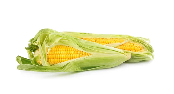Dojrzałe Kolby Kukurydzy Łupiną Białym Tle — Zdjęcie stockowe