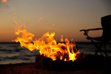 Akşamları yakacak odunları olan güzel şenlik ateşi.