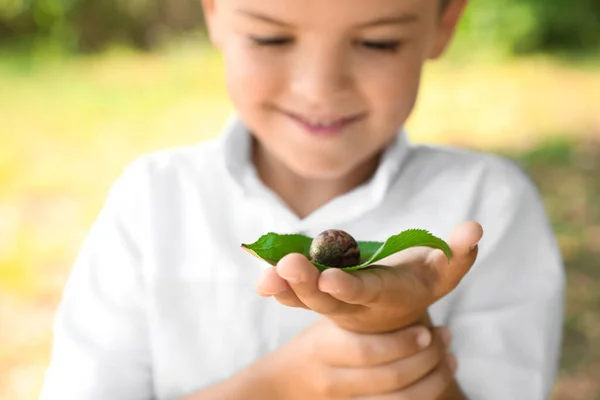 Pojke Leker Med Söt Snigel Utomhus Fokusera Handen Barn Tillbringar — Stockfoto