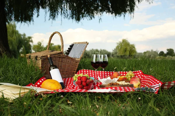 Manta Piquenique Com Deliciosa Comida Vinho Parque — Fotografia de Stock