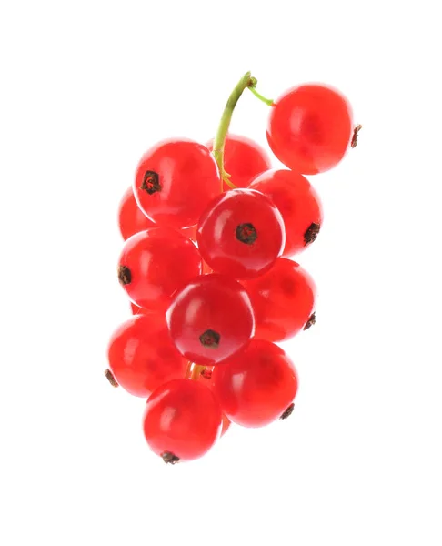 Delicious Ripe Red Currants Isolated White — Stock Photo, Image