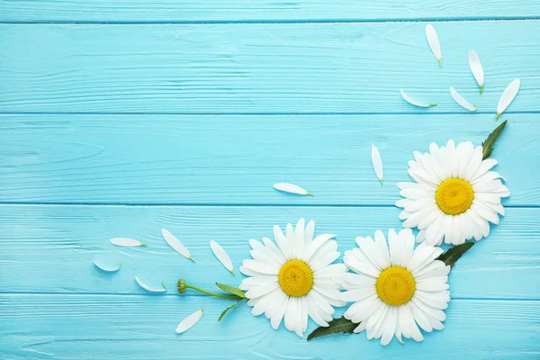 Krásné Heřmánku Květiny Tyrkysové Dřevěné Pozadí Byt Ležel — Stock fotografie