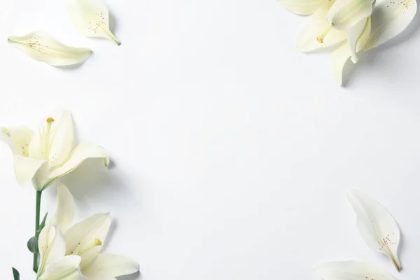 Beyaz Arka Planda Güzel Zambak Çiçekleri Çerçevesi Düzlük Metin Için — Stok fotoğraf