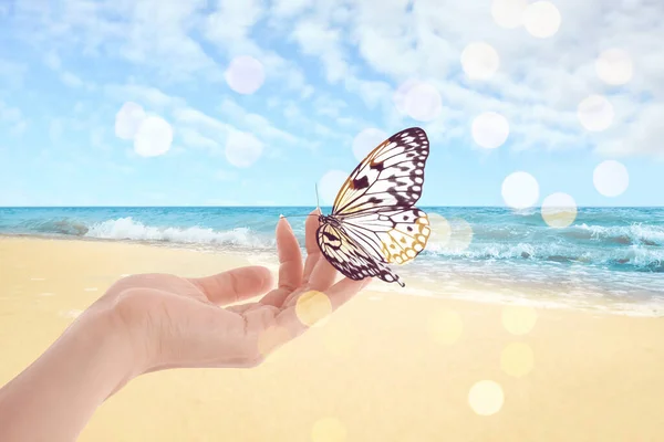 Frau Mit Schönem Reispapier Schmetterling Sandstrand Nahaufnahme Bokeh Effekt — Stockfoto