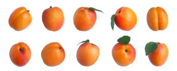 Set Frischer Reifer Aprikosen Auf Weißem Hintergrund Bannerdesign — Stockfoto