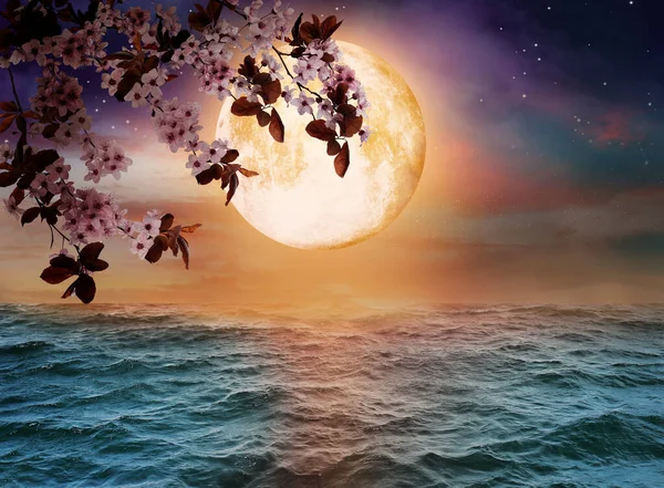 Fantasiewereld Bloeiende Kersenboom Tak Volle Maan Sterrenhemel Boven Oceaan — Stockfoto