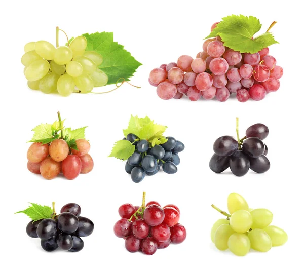 Conjunto Uvas Frescas Sobre Fundo Branco — Fotografia de Stock