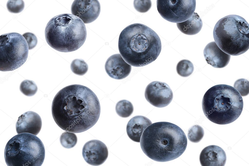 Fresh whole blueberries falling on white background