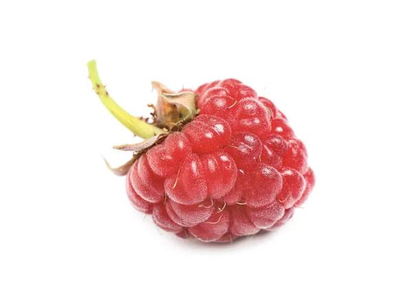 Delicious Fresh Ripe Raspberry Isolated White — Stock Photo, Image