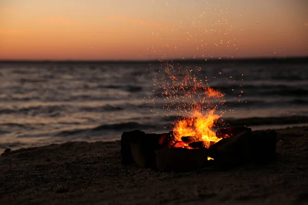 美丽的篝火与燃烧的柴火在海滩上的夜晚 案文的篇幅 — 图库照片