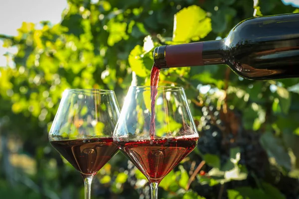 Versare Vino Dalla Bottiglia Nel Bicchiere Vigna Primo Piano — Foto Stock