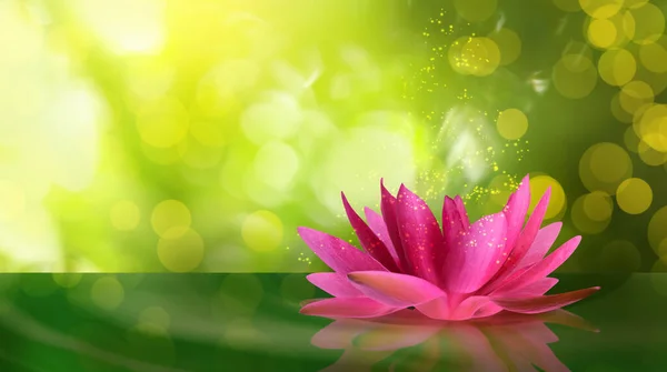 Fantastische Lotusblume Mit Funken Auf Wasseroberfläche Bokeh Effekt — Stockfoto