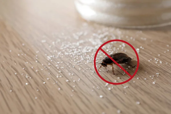 木製のテーブルの上に赤い禁止記号を持つゴキブリ 害虫駆除 — ストック写真