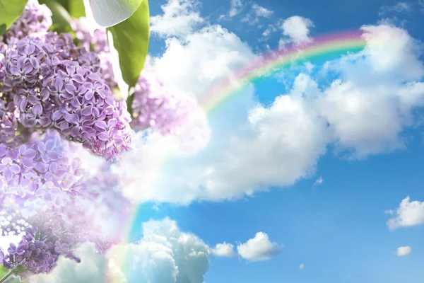 Fantasiewereld Mooie Regenboog Lucht Met Pluizige Wolken Lila Bloemen — Stockfoto