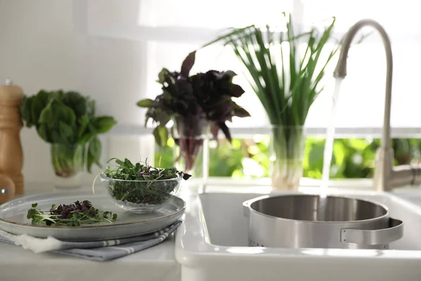 Mutfak Lavabosunun Yanındaki Tezgahta Taze Organik Mikroyeşil Bir Kase Var — Stok fotoğraf