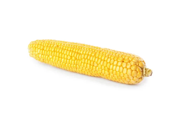 Érett Nyers Kukorica Cob Izolált Fehér — Stock Fotó