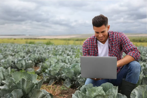 Hombre Usando Portátil Campo Tecnología Agrícola — Foto de Stock