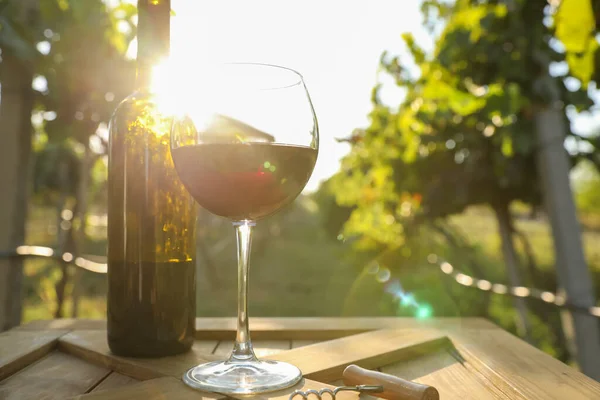 Üzüm Bağındaki Ahşap Masada Bir Şişe Kırmızı Şarap — Stok fotoğraf