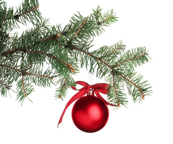 Red Shiny Christmas Ball Fir Tree Branch White Background Royalty Free Stock Images