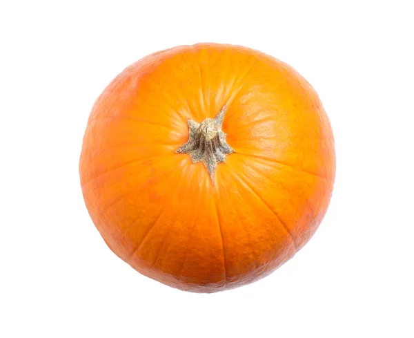 Fresh Ripe Pumpkin Isolated White Top View Organic Plant — Stock Photo, Image