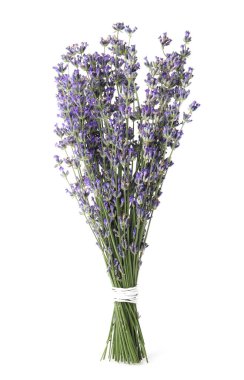 Beyaz arka planda bir demet güzel lavanta çiçeği