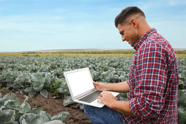 Man Met Laptop Met Leeg Scherm Het Veld Landbouwtechnologie — Stockfoto
