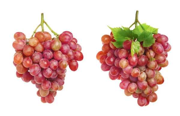 Twee Verse Druivenclusters Witte Achtergrond — Stockfoto