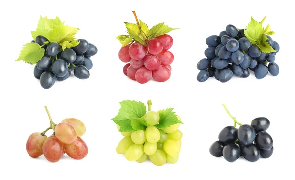 Zestaw Świeżych Winogron Białym Tle — Zdjęcie stockowe