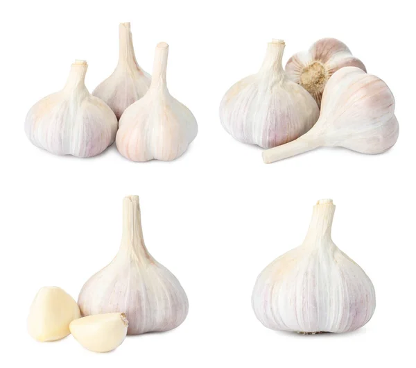 Set Garlic Bulbs Cloves White Background — Stock Photo, Image