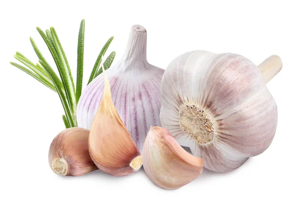 Frischer Knoblauch Mit Rosmarin Auf Weißem Hintergrund — Stockfoto