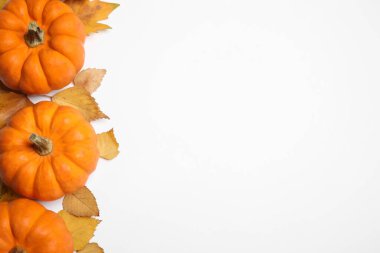 Beyaz arkaplanda balkabağı ve sonbahar yapraklarıyla kompozisyon, üst görünüm