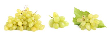 Beyaz arka planda taze üzümler. Pankart tasarımı