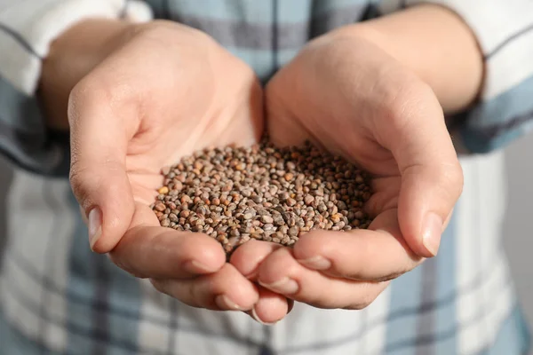 Vrouw Met Een Stapel Radijszaad Close Planten Basis Van Groenten — Stockfoto